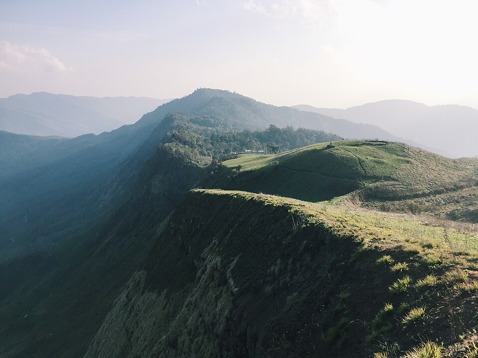 Layered forested ridges in the Nagaland hills